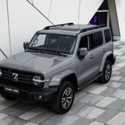 Почему автомобили TANK набирают популярность на российском рынке?