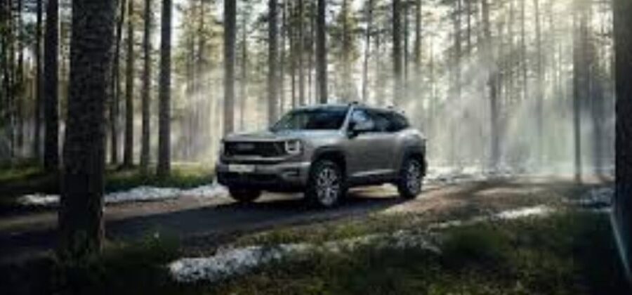 Гарантии, сервисные планы и пакеты обслуживания Haval